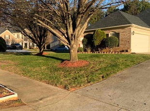 Cleanups by Chance Rosenberger for Jody D. in Matthews, NC