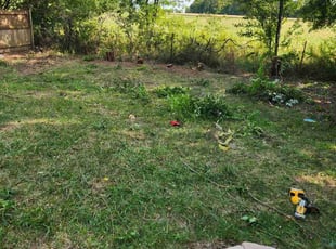 Cleanups by Chad Mann for Miranda Z. in McCordsville, IN