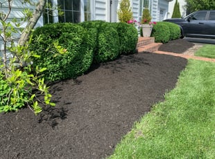 Mulching by Andrew Carpenter for William B. in New Albany, OH