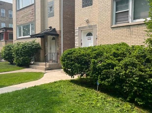 Bush Trimming by Deontae Boykin for Raquel R. in Evanston, IL