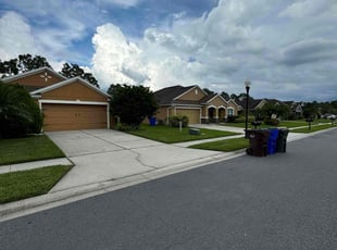 Mara S.'s Lawn Mowing Service service result