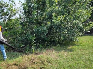 Cleanups by Juliana Ledezma for Sylvaline O. in Hutto, TX
