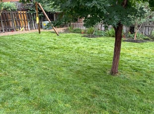 Amy P.'s Lawn Care service result