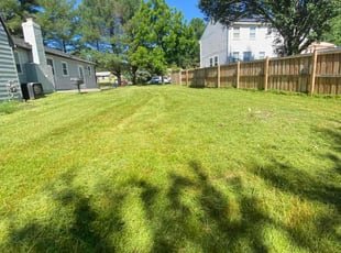 Connie P.'s Lawn Mowing service result