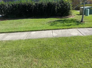 Weeding by Mekeila Morris for Beverly C. in Zachary, LA