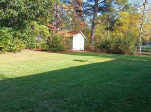 Mike D.'s Lawn Care service result