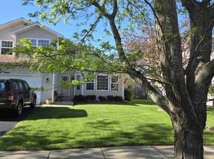 victor t.'s Grass Cutting service result