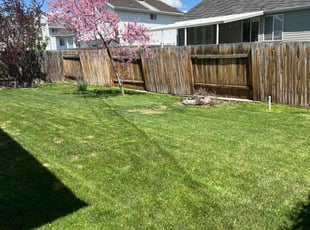 Joe B.'s Lawn Mowing service result