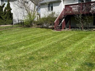 Ether T.'s Lawn Mowing service result