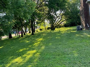 Ortagus F.'s Lawn Care service result