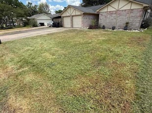 Cleanups by Edwin Fernandez for Samuel H. in Katy, TX