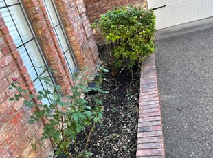 Weeding by Jose Hernandez for Aaron M. in Grapevine, TX