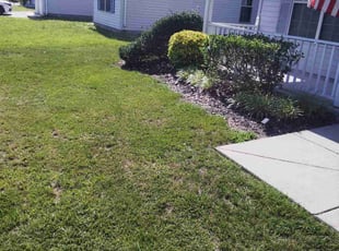 Bush Trimming by Nicole Royster for Lynden F. in Suffolk, VA