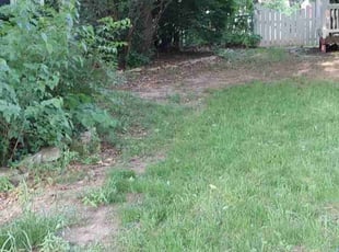 Leaf Removal by Susan Kendrick for Russell R. in Roeland Park, KS