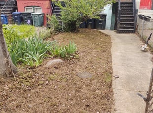 Cleanups by Allan Roberts for Arthur S. in Washington, DC