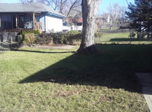 Leaf Removal by Lamonee Jackman for Marcus M. in Bellevue, NE