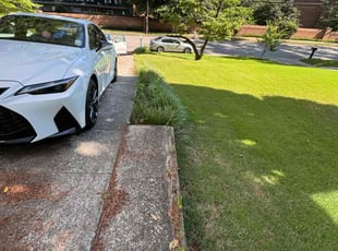 Reynaldo C.'s Yard Cutting service result