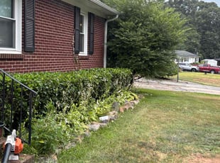 Bush Trimming by Naji Robinson for Frances O. in Greenville, SC