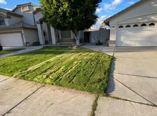 Leaf Removal by bernardo alcazar for Adyson C. in Gilbert, AZ