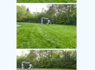 Connie K.'s Lawn Mowing service result