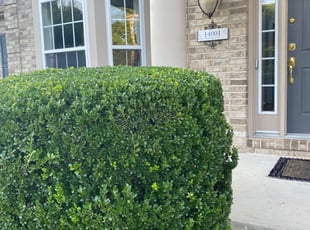 Bush Trimming by Orlando Guevara for James S. in Bowie, MD