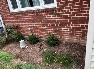 Weeding by Jairon Villagran for Dawn F. in Silver Spring, MD