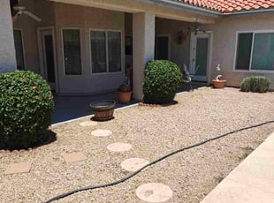 Bush Trimming by Marvin Gray for Genevieve L. in Phoenix, AZ