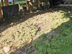 Leaf Removal by Robert Dowdy for Chris M. in Milwaukee, WI