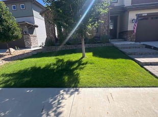Ron D.'s Lawn Care service result