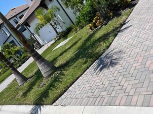 Marta M.'s Lawn Mowing service result