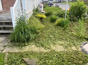 Weeding by Alison Plisiewicz for Sharon W. in Elizabethtown, PA