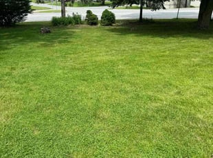 Bessie B.'s Lawn Maintenance service result