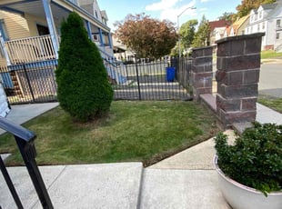 Alexa A.'s Lawn Mowing service result