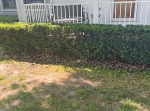 Bush Trimming by Mike Hazel for Gregory A. in Waterford Township, MI