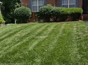 Weeding by Michael Cherry for Scott B. in Charlotte, NC