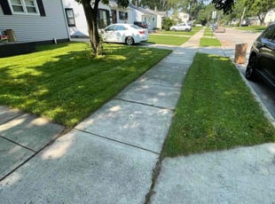 Nadege L.'s Lawn Mowing service result