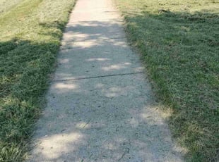 Darrell W.'s Lawn Maintenance service result