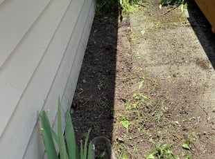 Weeding by Jaelonie Ayres for Xiao L. in Seattle, WA
