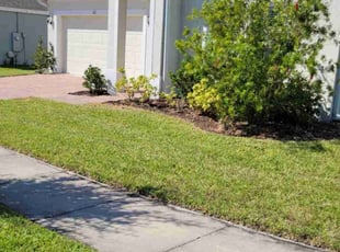 Ed s.'s Yard Cutting service result