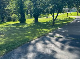 Sarah W.'s Lawn Care service result