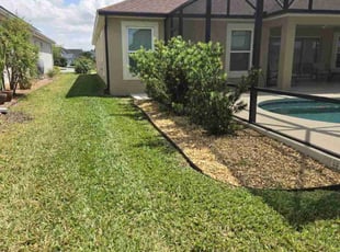 Tysha M.'s Lawn Mowing service result
