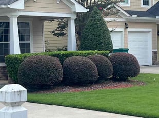 Bush Trimming by Louis Sampson for Heather T. in Mableton, GA