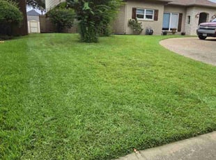 Aaron H.'s Grass Cutting service result