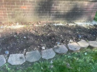 Weeding by Brandon Fountain for David S. in Detroit, MI