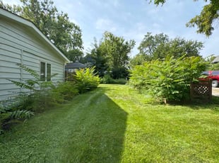 George R.'s Lawn Mowing service result