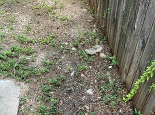 Cleanups by Joseph Adames for Alex Y. in Austin, TX