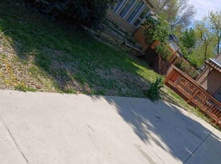 Leaf Removal by Blake Burks for Jennifer B. in Louisville, CO