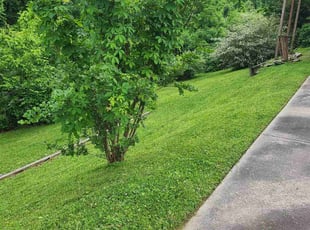 Beau M.'s Lawn Service service result