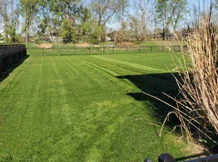 Sebastian H.'s Lawn Care service result