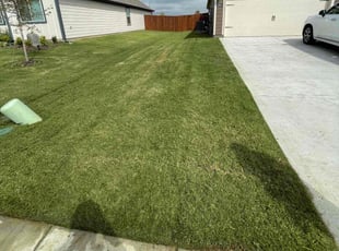 Cyndy S.'s Lawn Maintenance service result